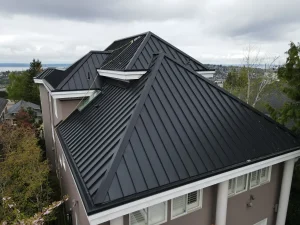 12in Rib Flat Standing Seam Panel in Black