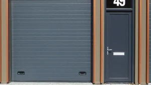 Prepainted Galvanized Steel Coil for Garage Door Panels
