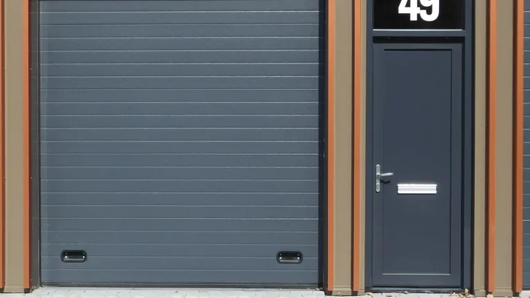 Prepainted Galvanized Steel Coil for Garage Door Panels